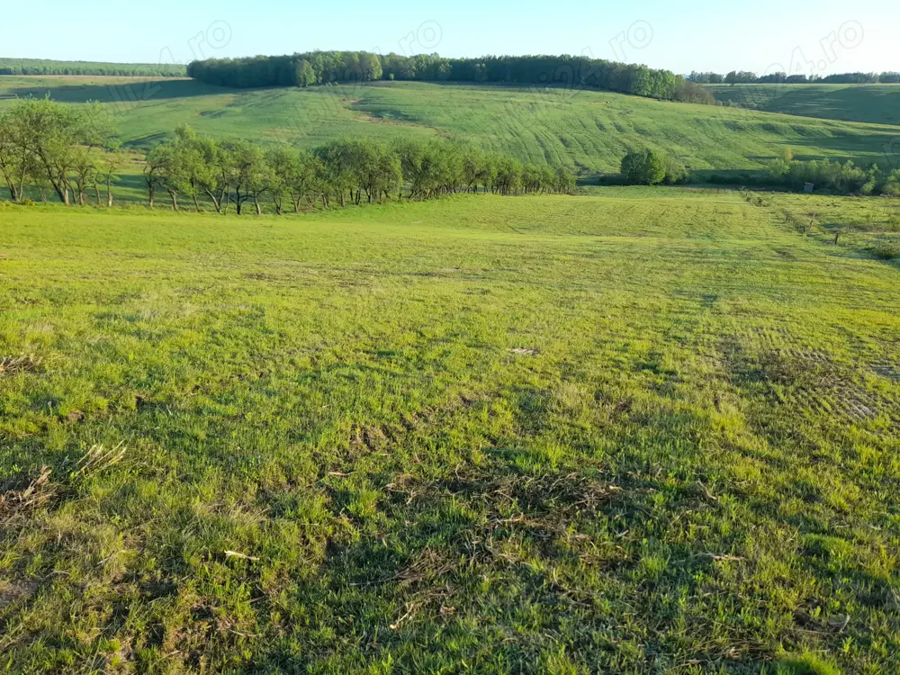 Teren extravilan  , oportunitate    Teren extravilan  , oportunitate