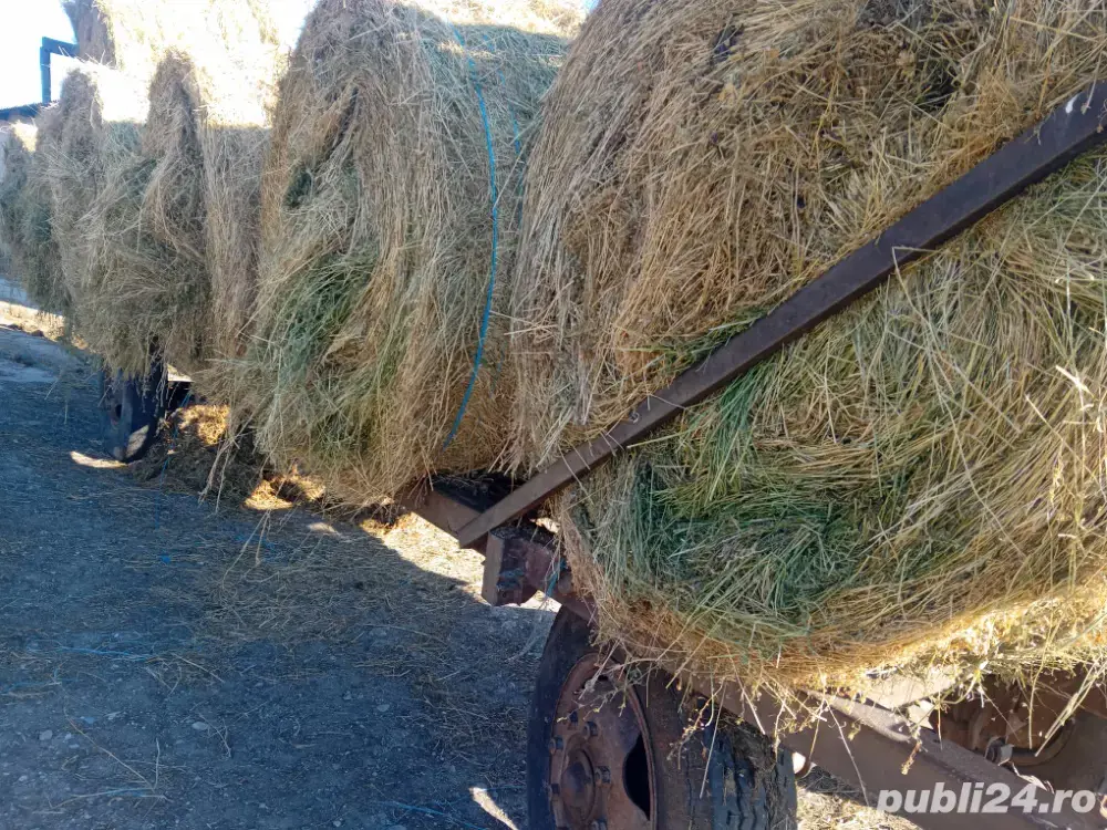 transport baloți de lucernă rotunzi 130 x120