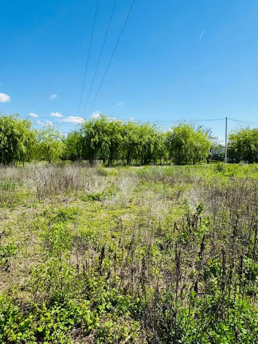 MT216 Teren intravilan 798 mp, Mosnita Noua, pozitionat IDEAL, 500m de asfalt