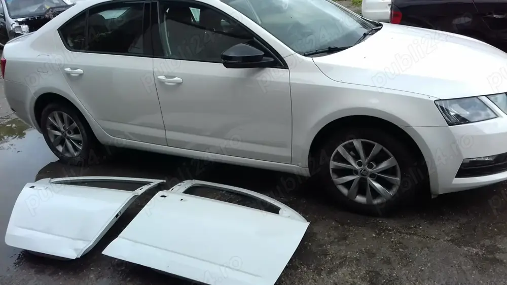  Service Vopsitorie Tinichigerie auto 