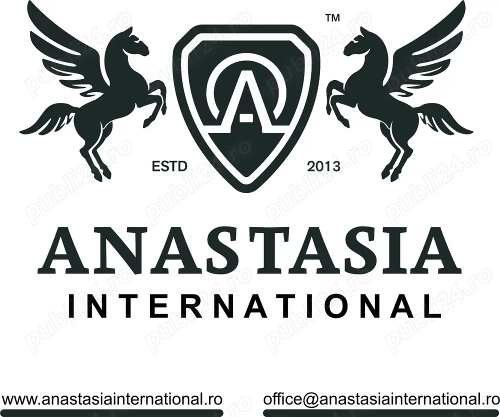 Angajam sofer profesionist C+E pe local in Timisoara