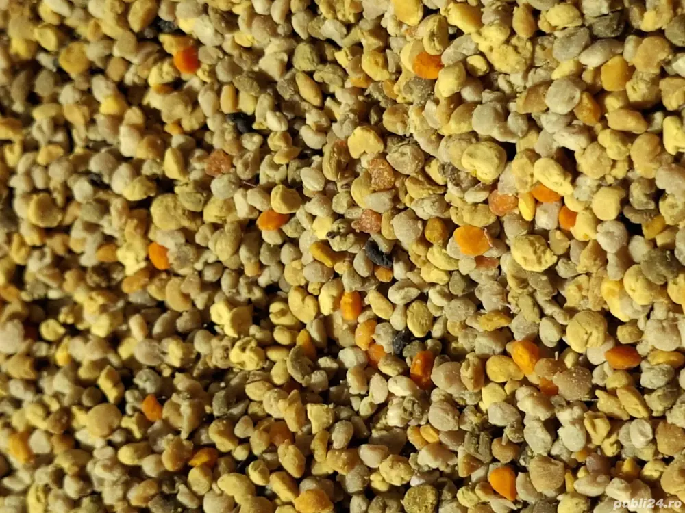 Polen uscat , poliflor și polen crud poliflor 