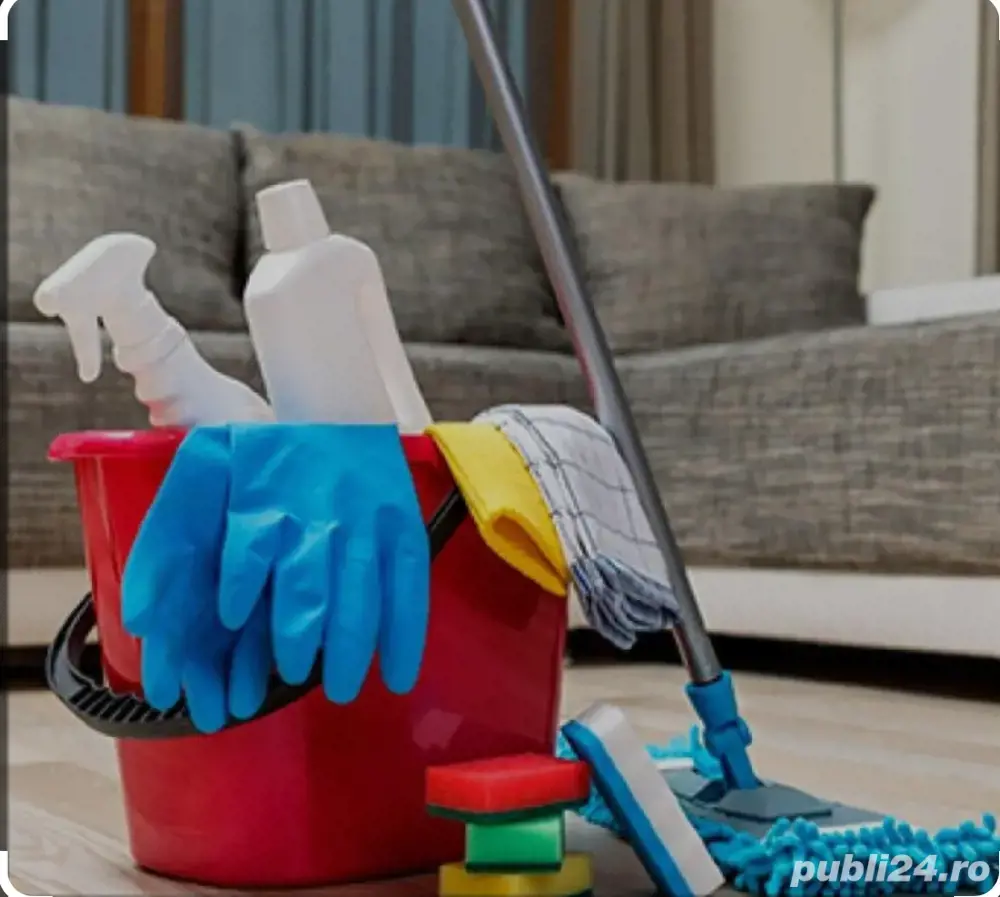 Menaj 4 ore o zi pe saptamana