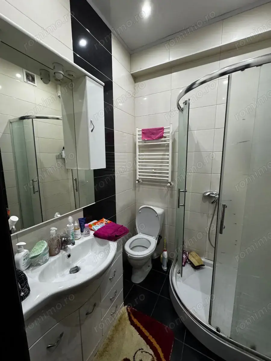 Apartament cu o camera de vanzare Sagului 