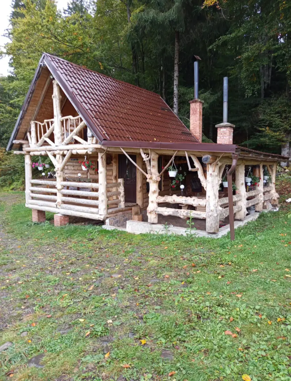 Cabană de închiriat Colibița  Cabană de închiriat Colibița