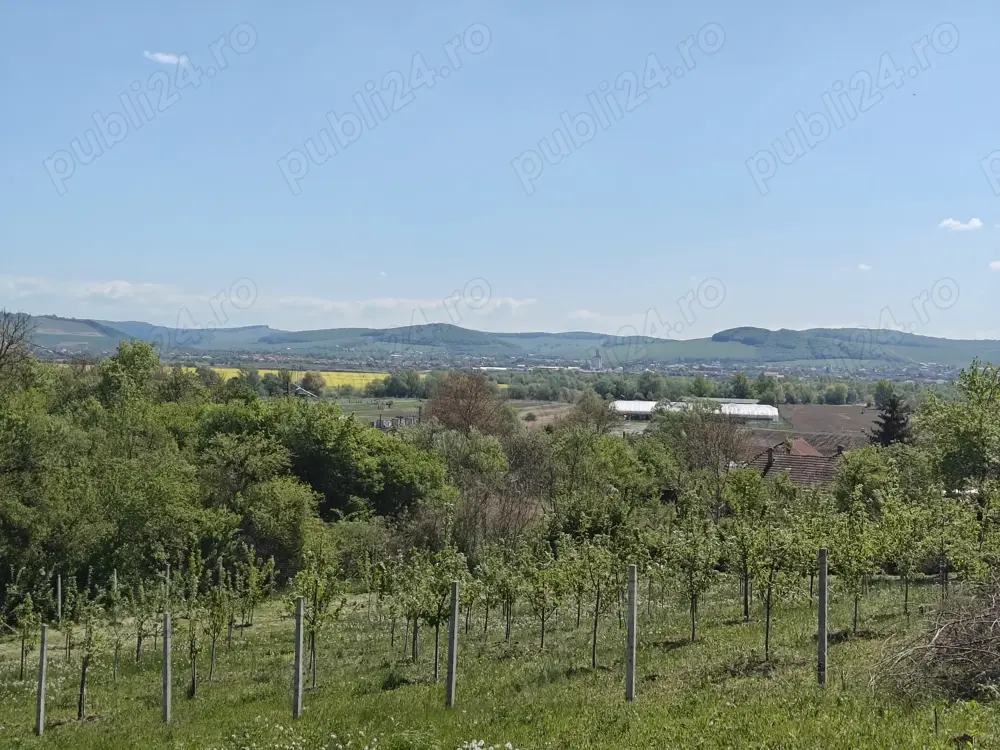 Teren intravilan 1400 m2 în Curteni, Sântana de Mureș - la doar 10 minute de centrul Targu Mures