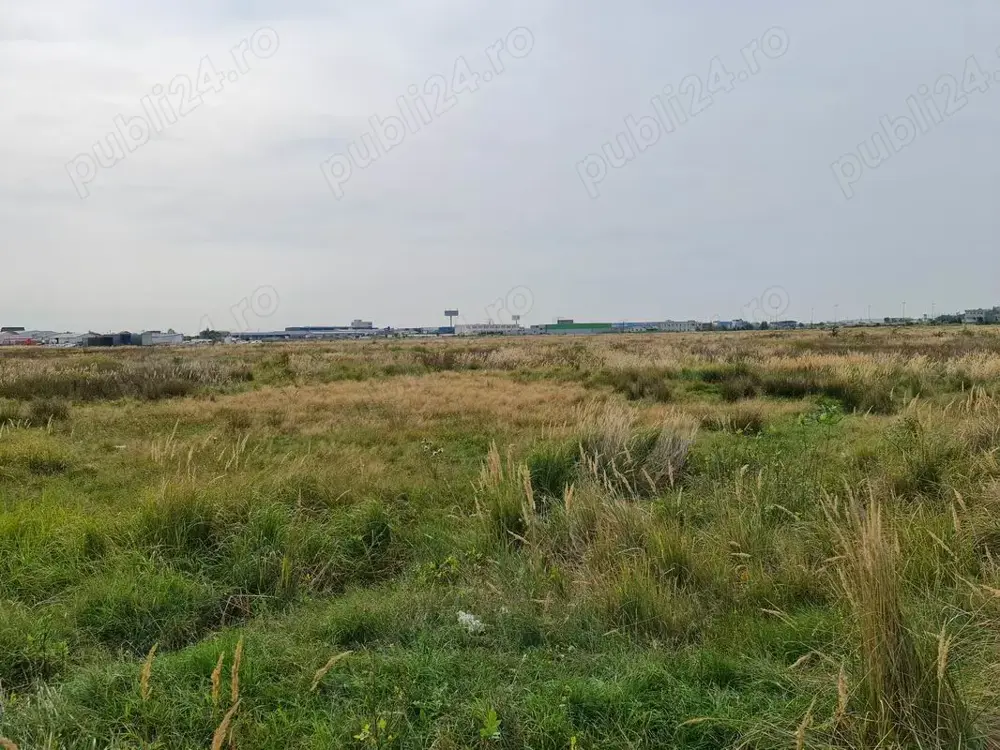 Teren intravilan Albota, PUZ, excelent pentru investitii, suprafata de 7800 mp.