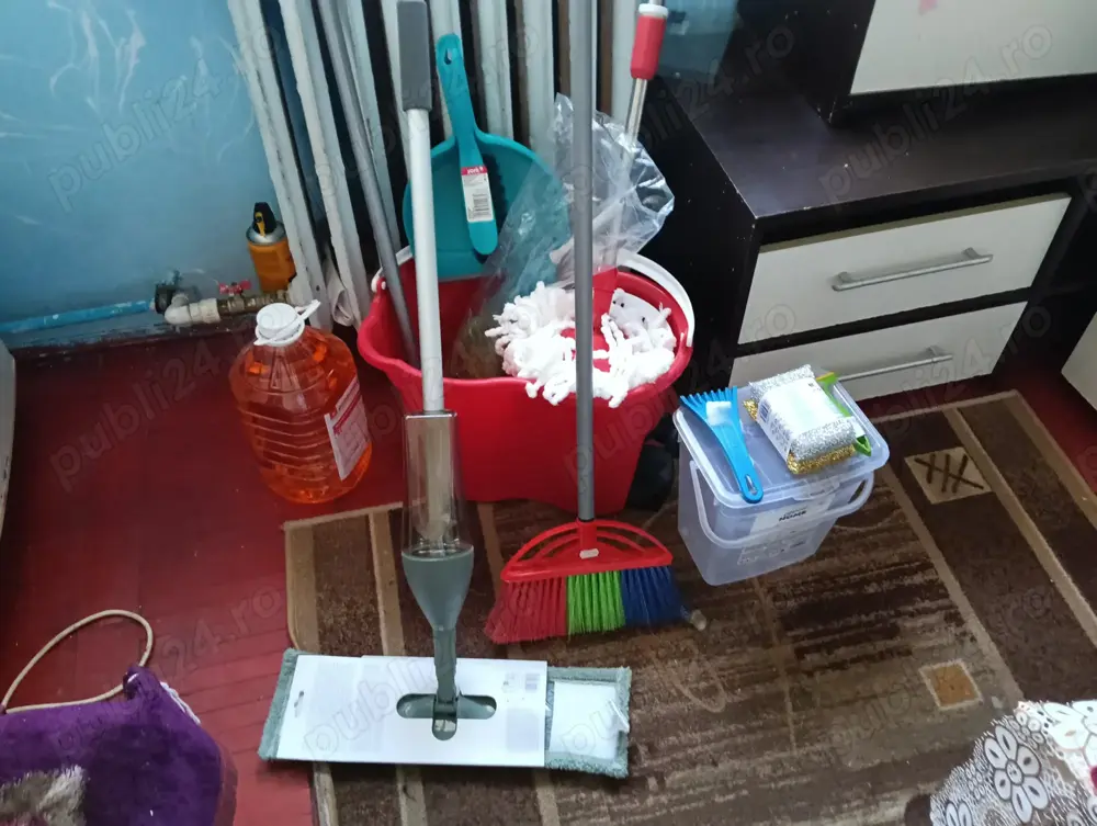 Curățenie la domiciliu 