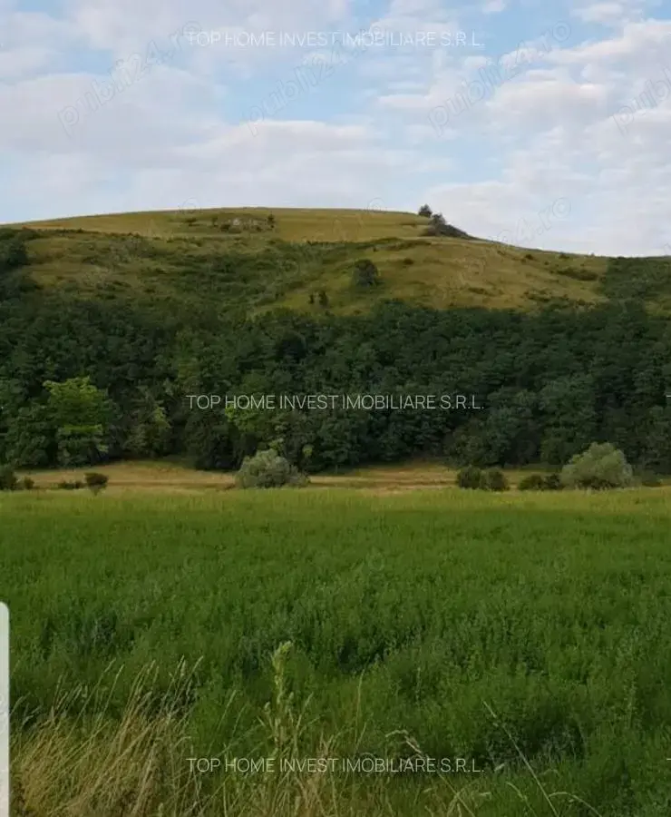 Exclusivitate! Teren intravilan in Luna de sus!