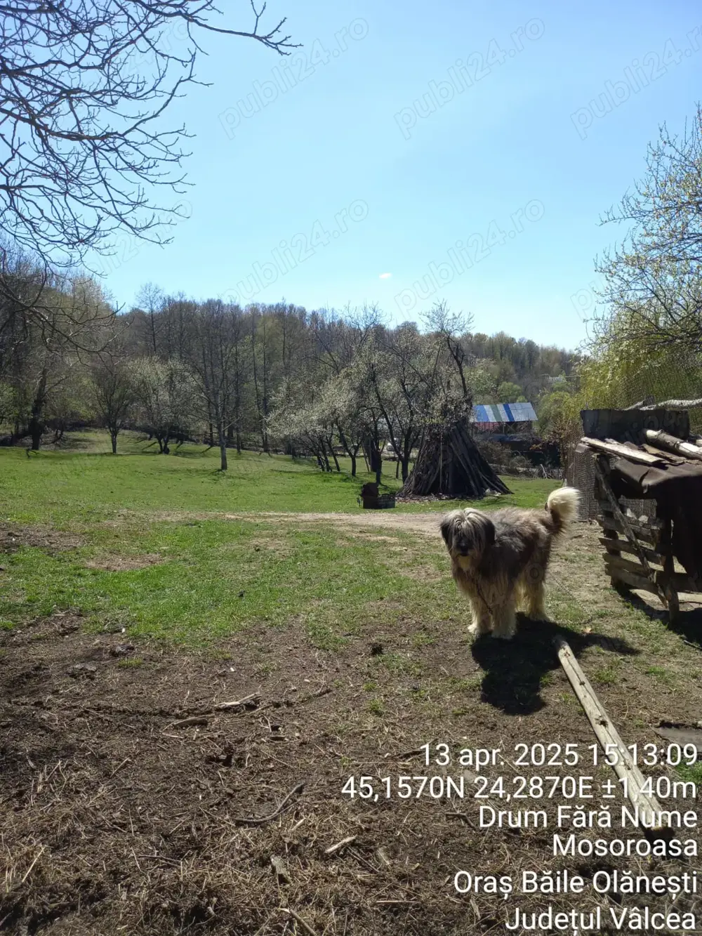 Teren 2600 m.p. Mosoroasa - Olănești, jud. Vâlcea