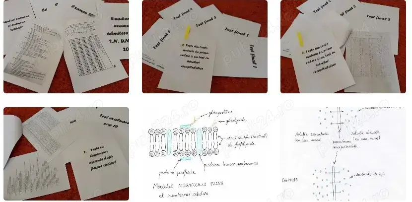 1781 Grile teste admitere medicina structurate dupa BARRON S.