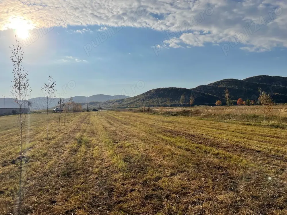 Teren intravilan 3.000 mp, deschidere 28 m, utilități   Măgureni, Prahova