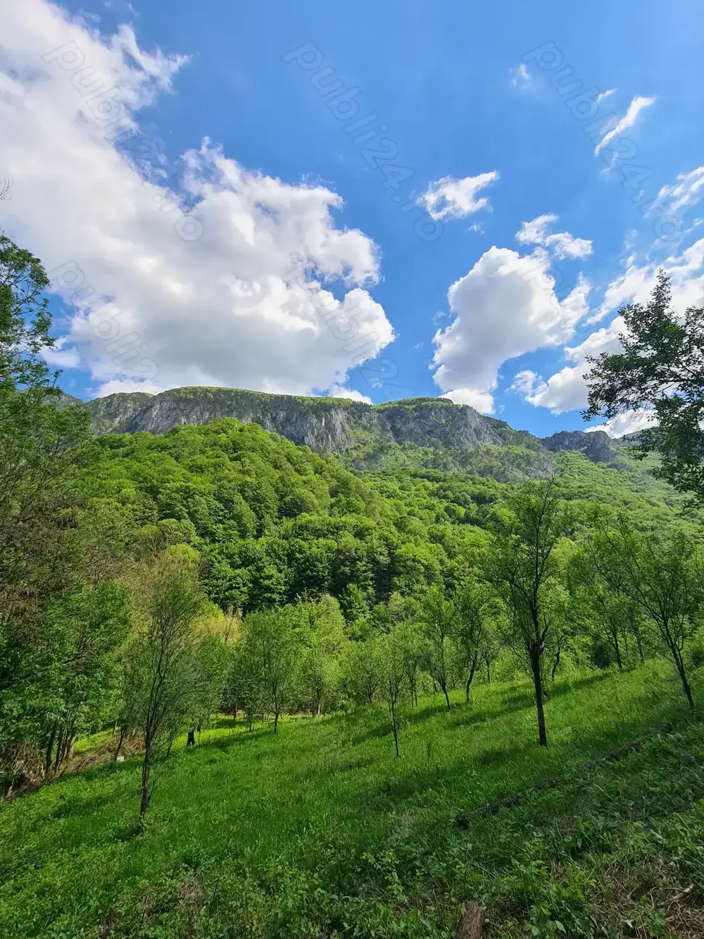 Vând teren Valea Cernei!!!!