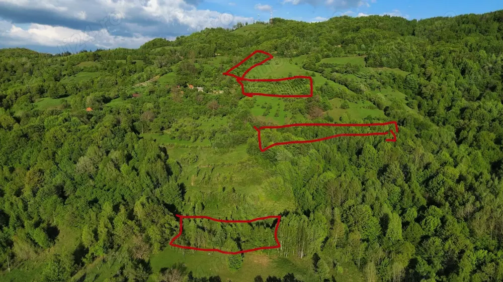 Vand teren cu livezi Buces-Vulcan