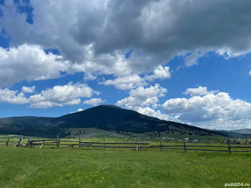 Teren 3.229 mp Dealu Floreni   200 m de drumul european, parcelă ideală pentru construit