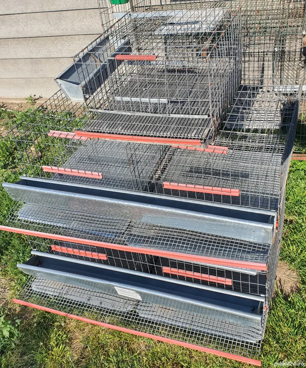 Vând 3 cuști pentru prepelițe 