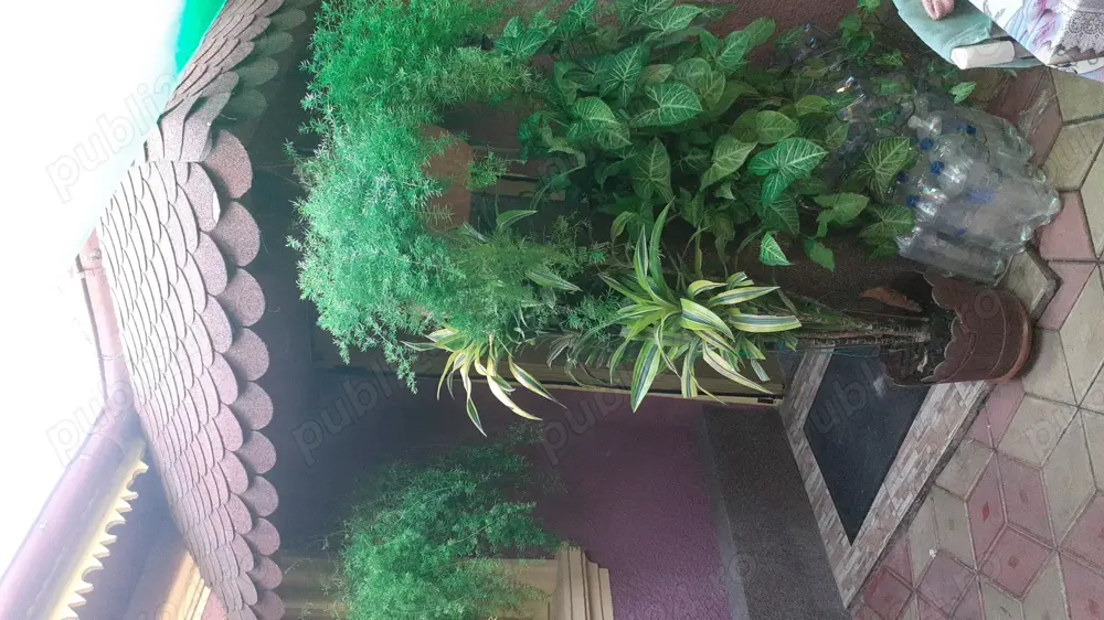 Casa de vânzare,3 camere, baie, bucătărie. 