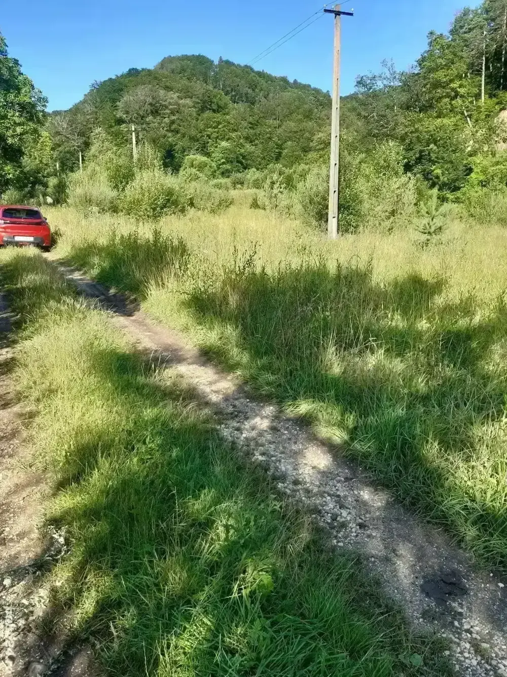 Teren de vânzare intravilant 