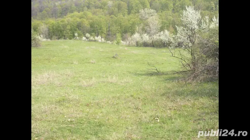 De vanzare 23ha agricol extravilan De vanzare 23ha agricol extravilan
