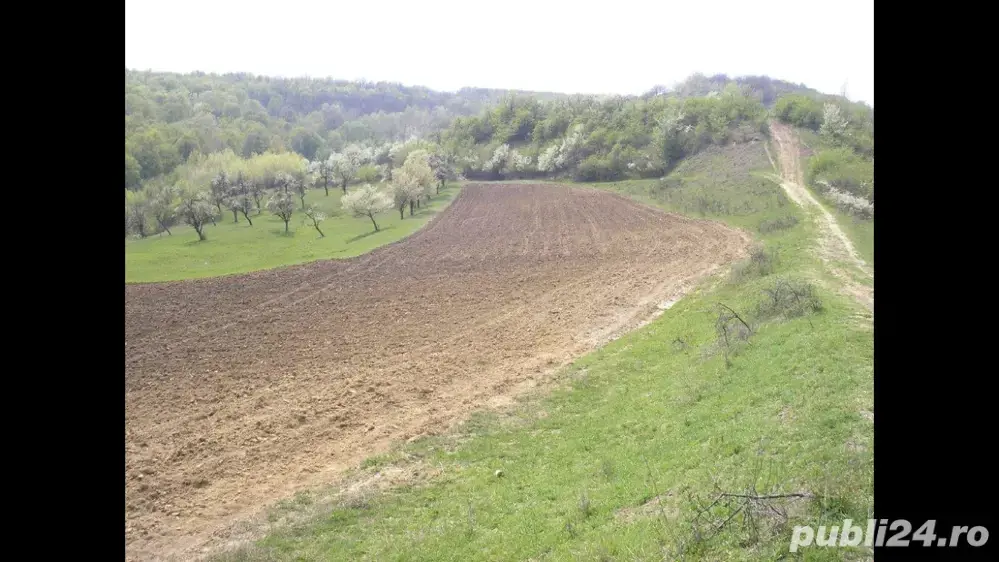 disponibilitate vanzare in rate foarte mici