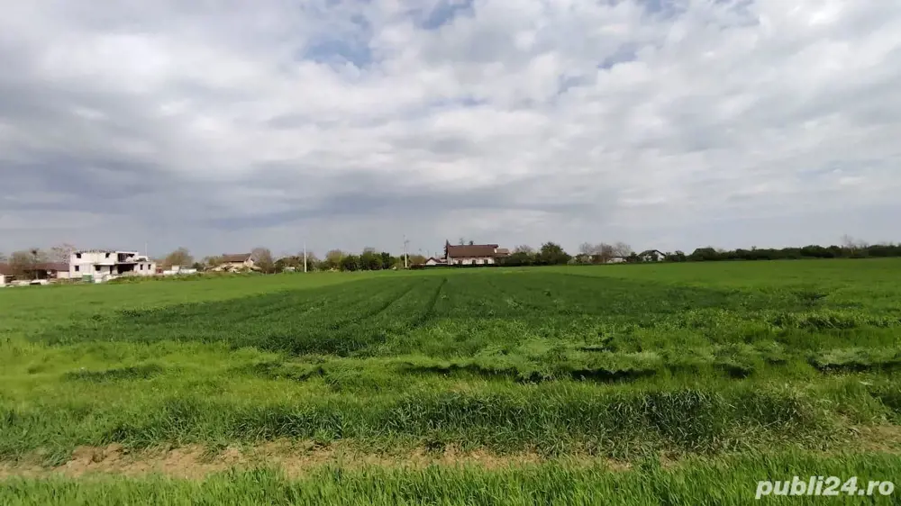 Teren intravilan 1600 mp