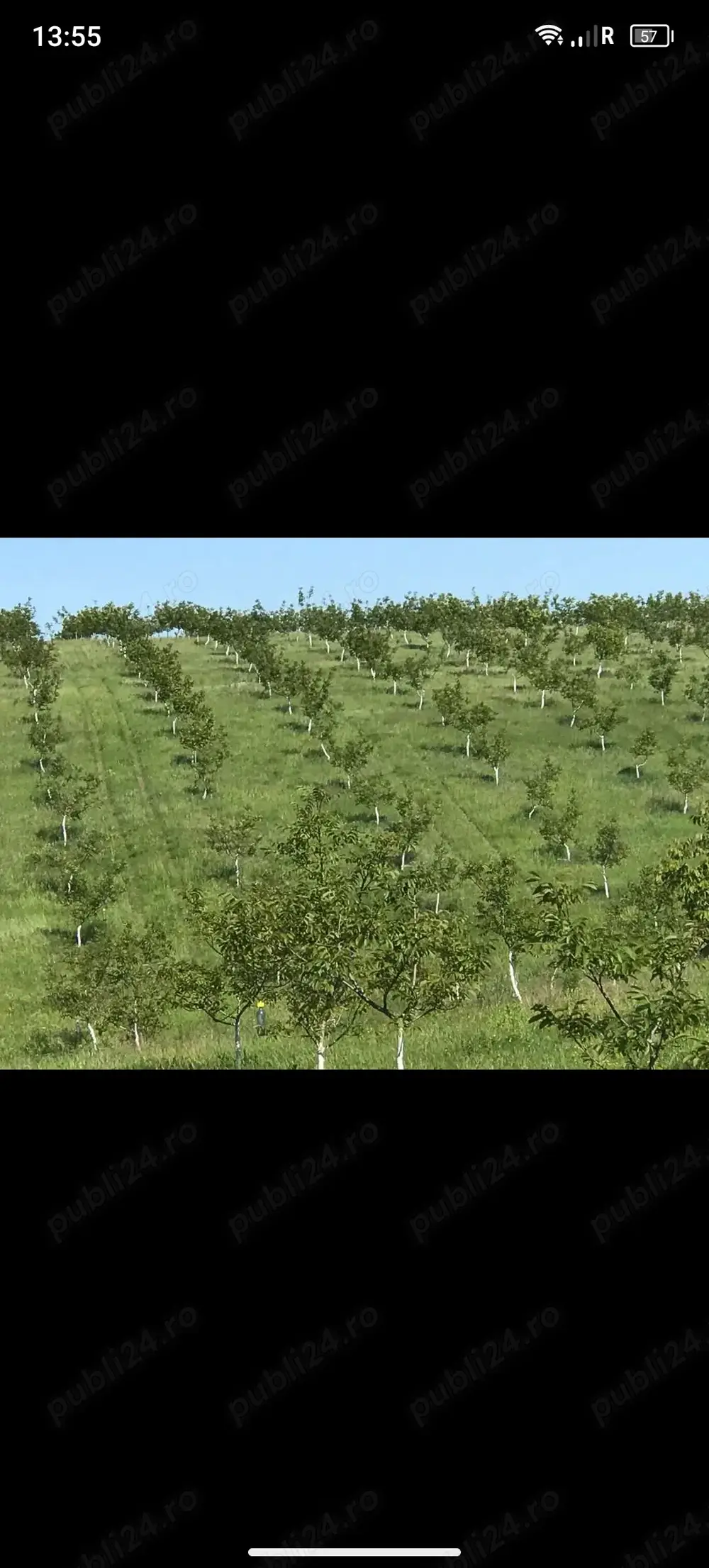 Livadă ecologică de nuci și teren agricol județul Bacău 