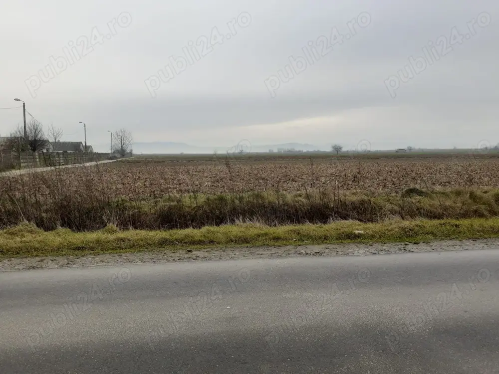 De vanzare teren intravilan in Halmeu (loc de casa) De vanzare teren intravilan in Halmeu (loc de casa)