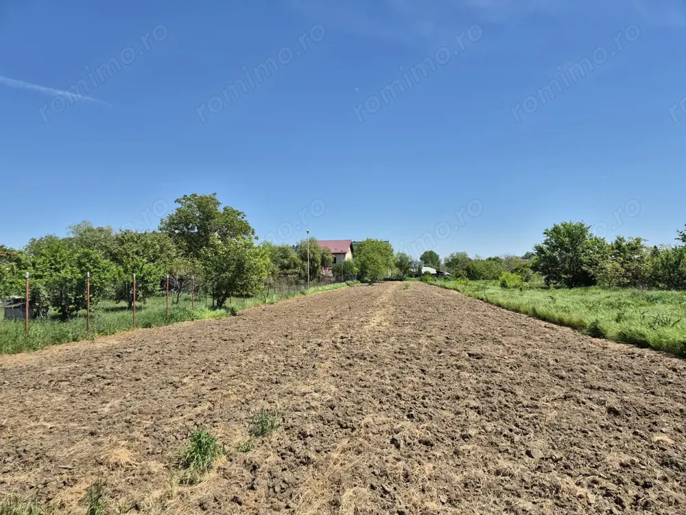 Teren intravilan 2658 mp - 1 Decembrie, Ilfov