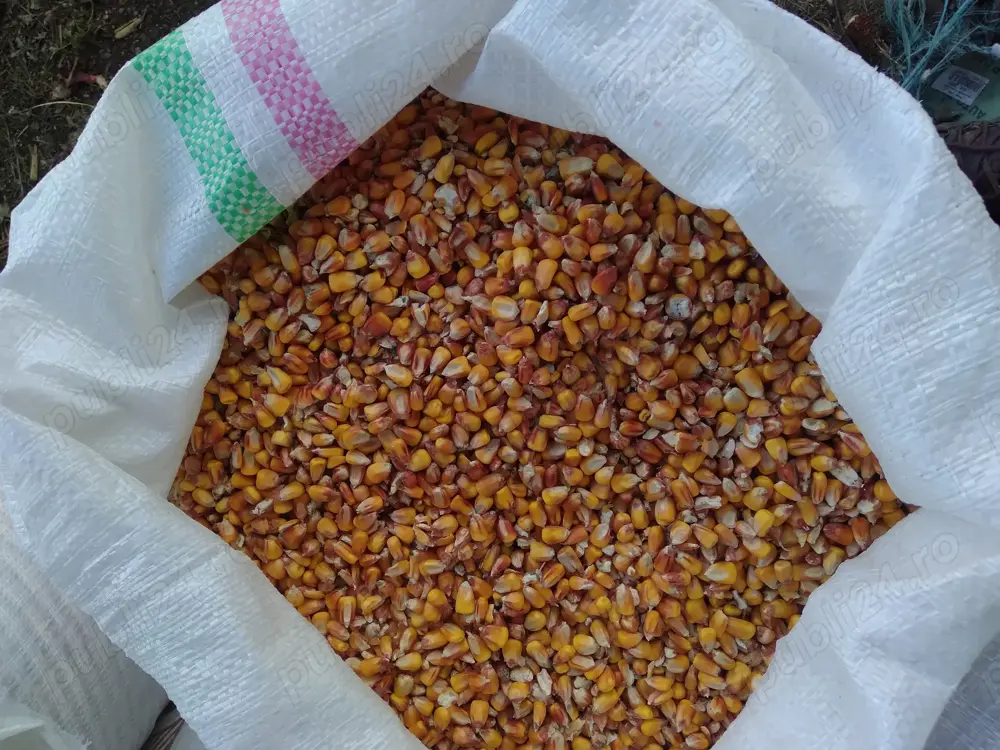 Porumb triticale orz grau floarea soarelui, faina, pasat cu transport