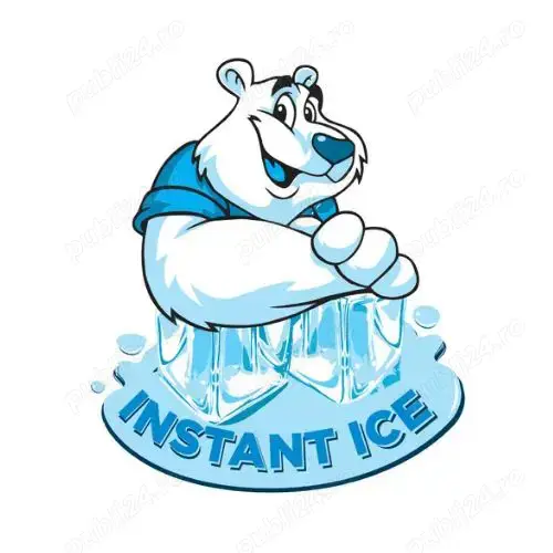 Angajam Sofer Distributie Gheata