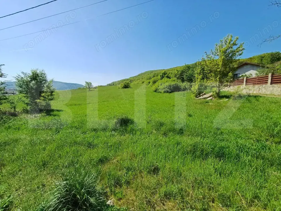 Teren intravilan de vanzare, 5000 mp, zona Viisoara, langa Metaller