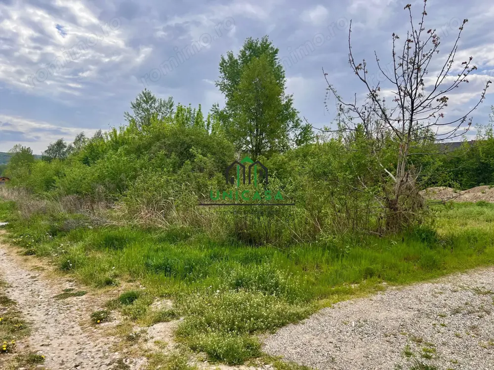 Teren Bujoreni/494 mp/Intravilan