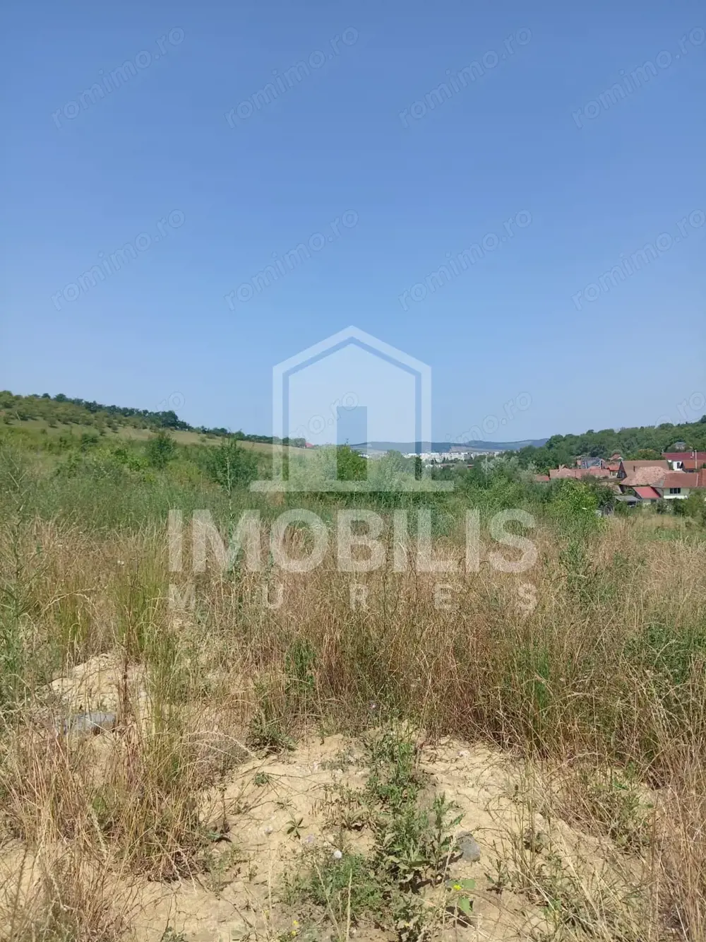 Teren de vanzare | 8800 mp | Viile Dealul Mic