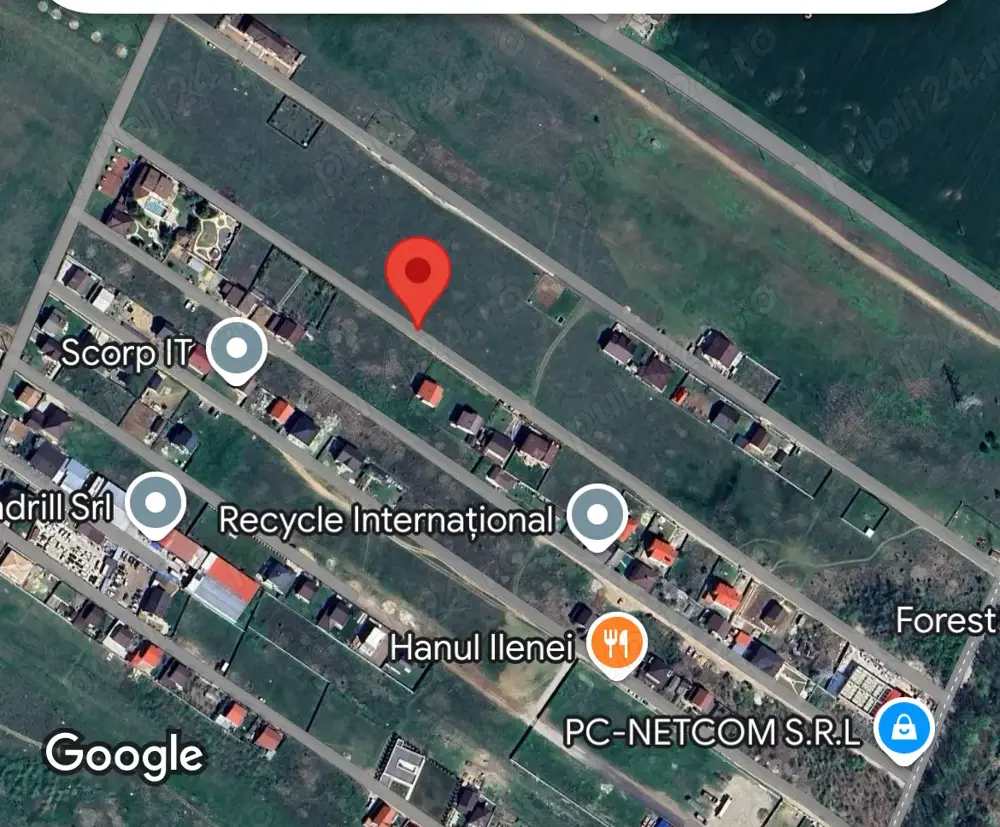 Dragomiresti Deal 700 m langa padure  Dragomiresti Deal 700 m langa padure