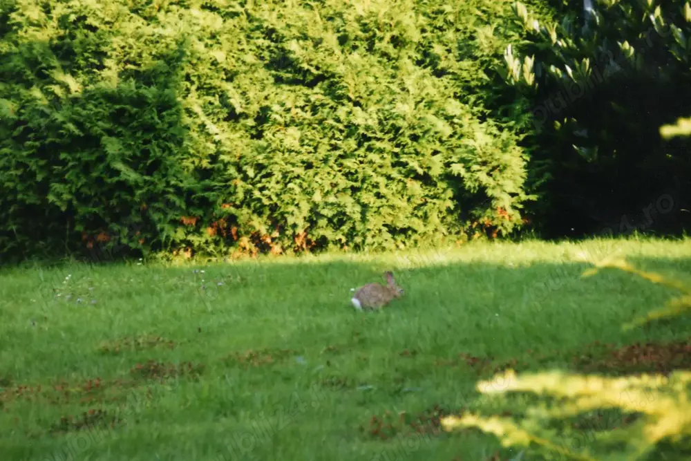 Casa la tara in zona verde