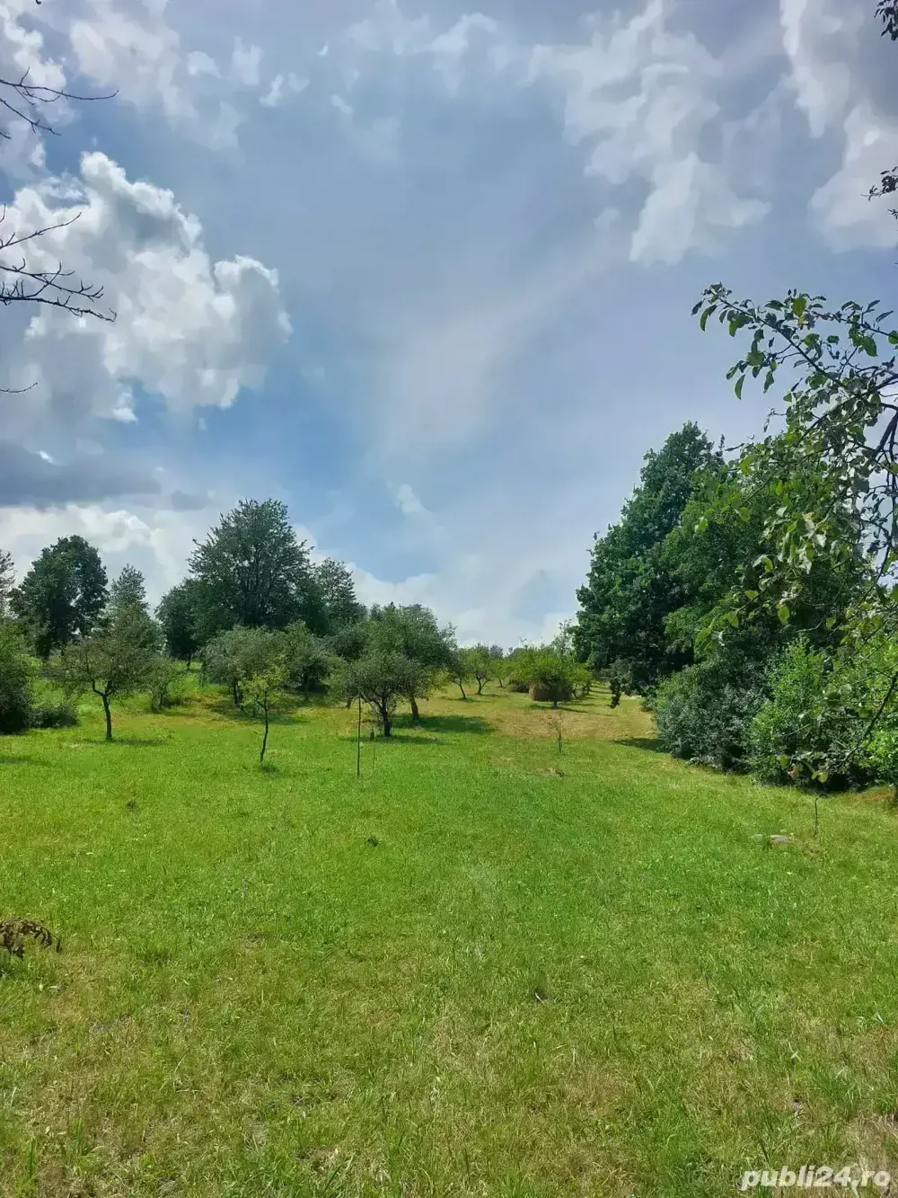 Teren extravilan in satul Breb MM