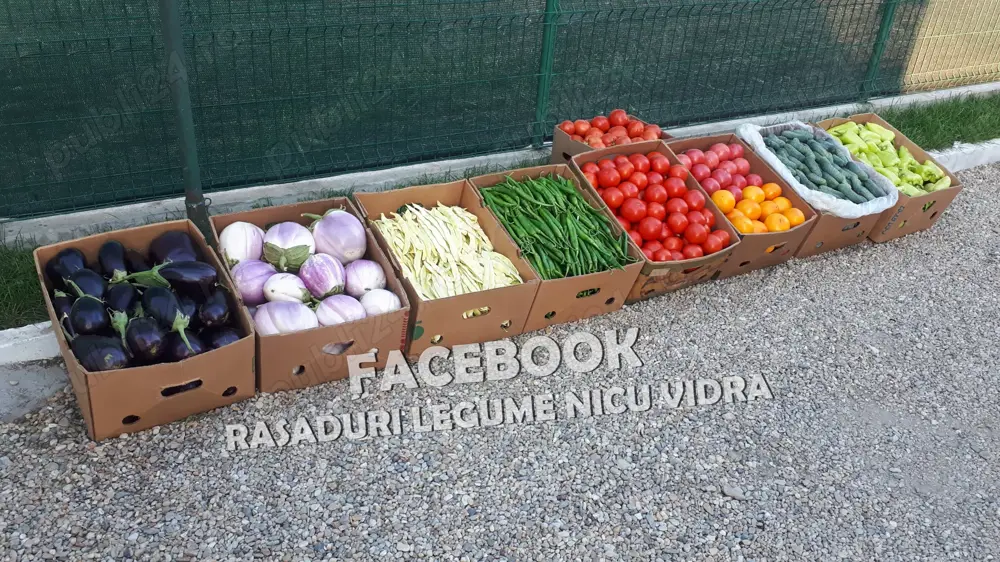 Rasad tomate, rosii, castraveti, ardei, vinete, varza - rasaduri 2026