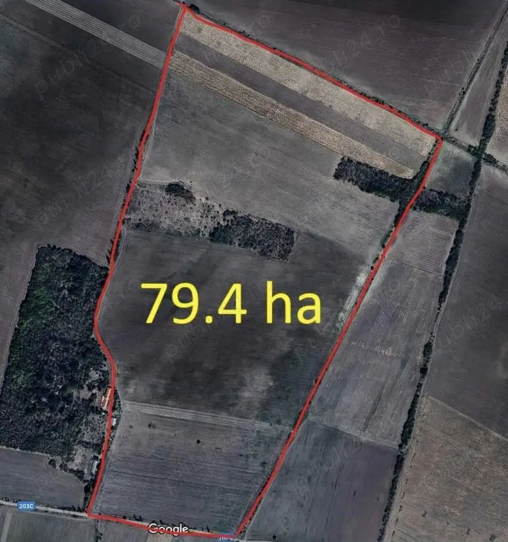 Chirie Superficie teren agricol aprox. 74ha - parc fotovoltaic eolian