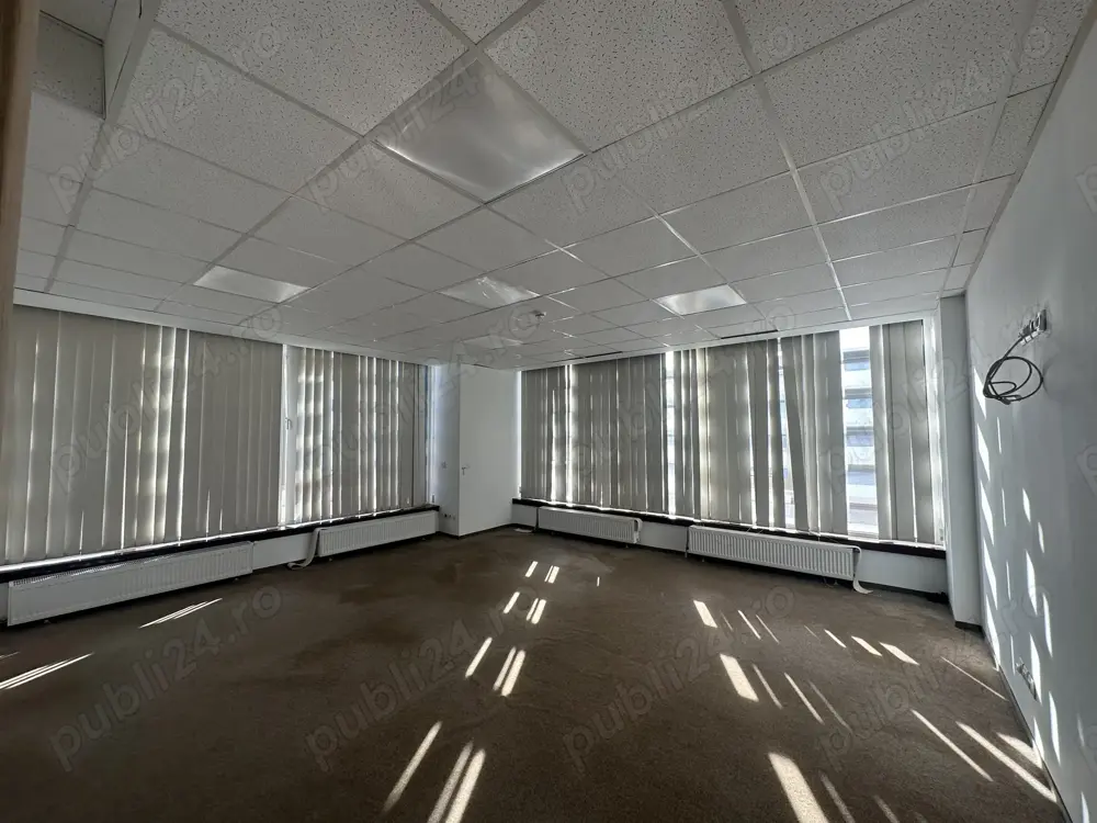 Theodor Pallady stradal birou 410 mp utili LIBER