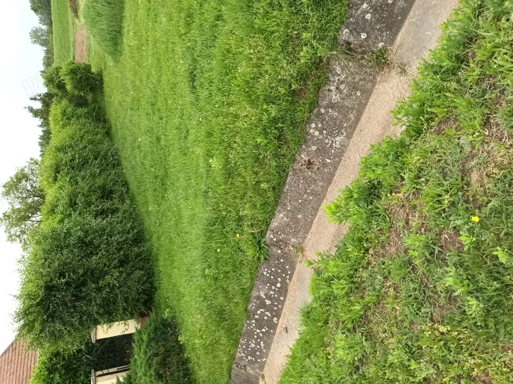 Teren de vanzare ungaria