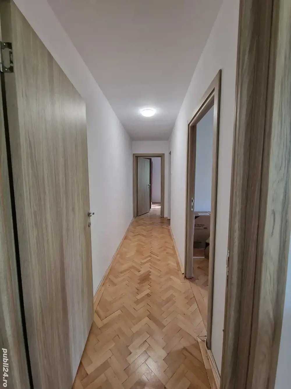 Zona Favorit-Circumvalatiunii 