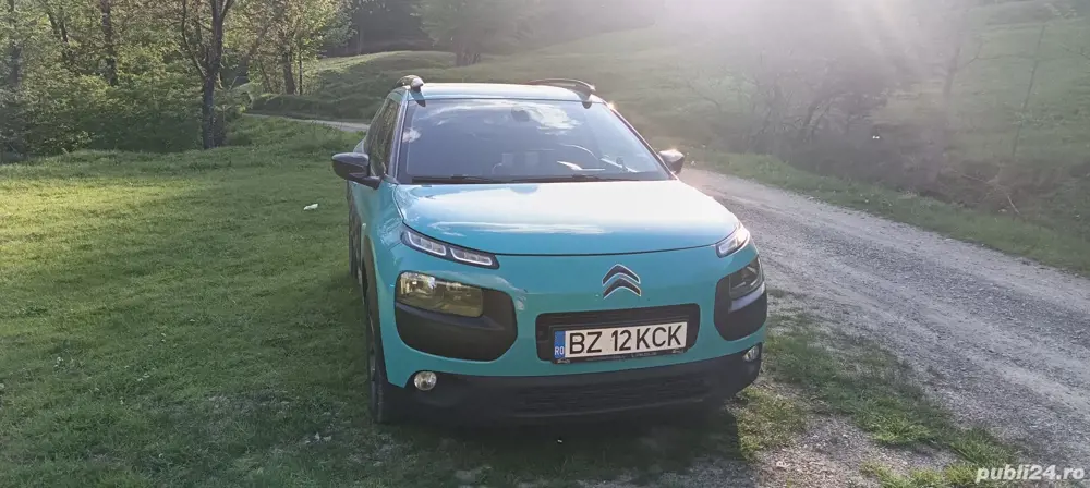 citroen C4 cactus 2015