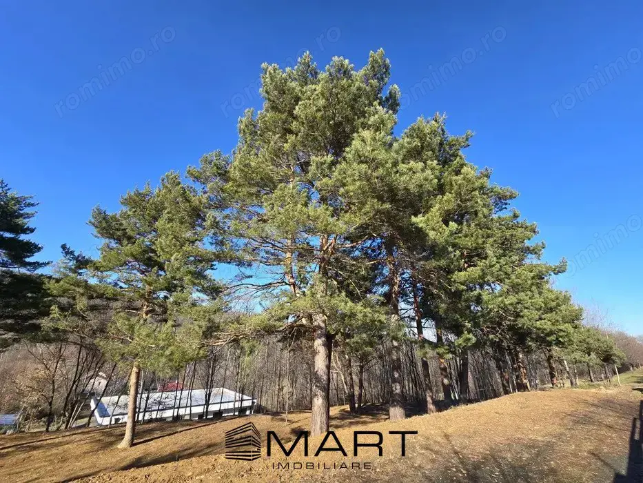 Teren intravilan Cisnadioara