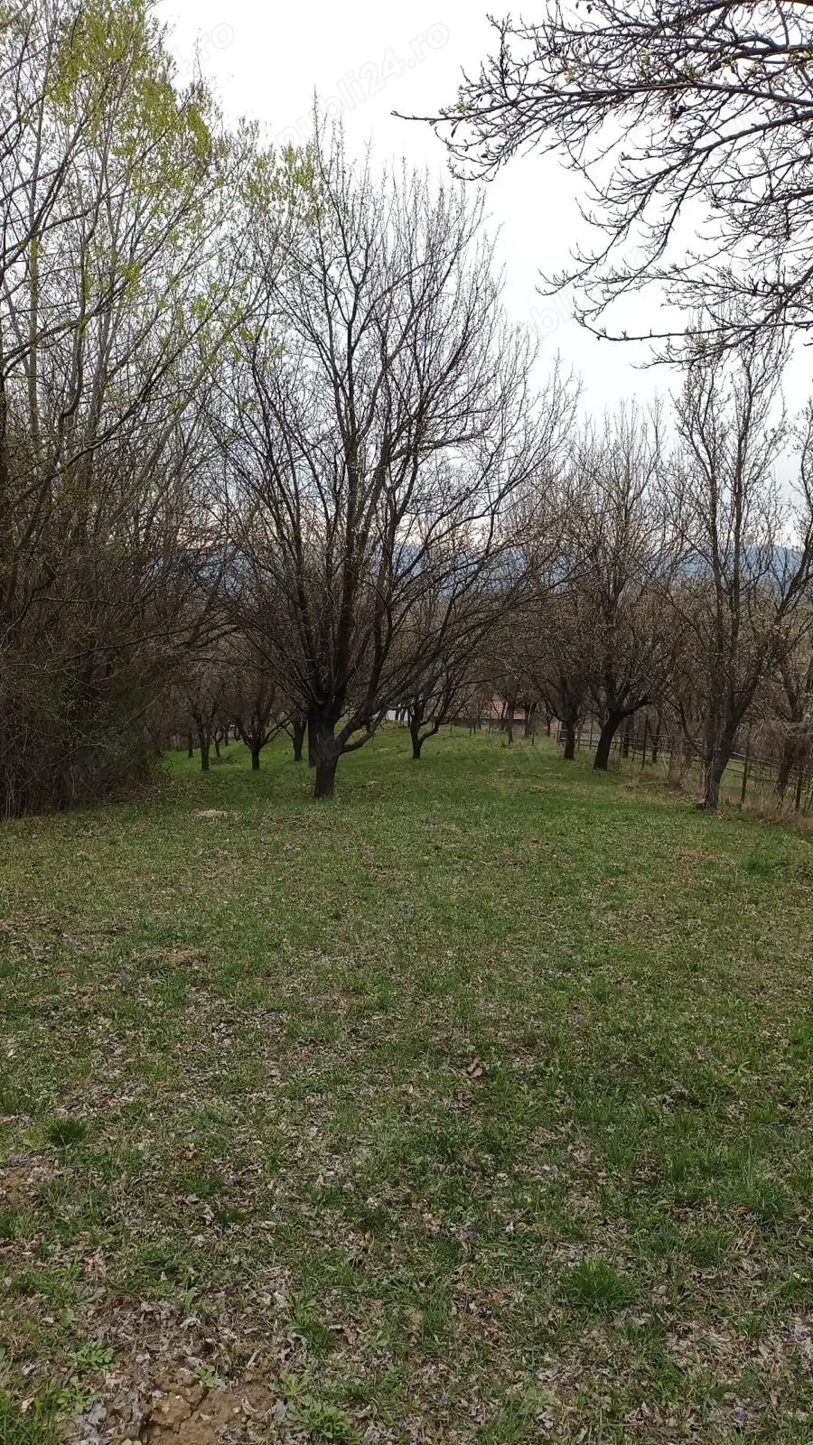Vand teren cu vedere la munte campulung muscel