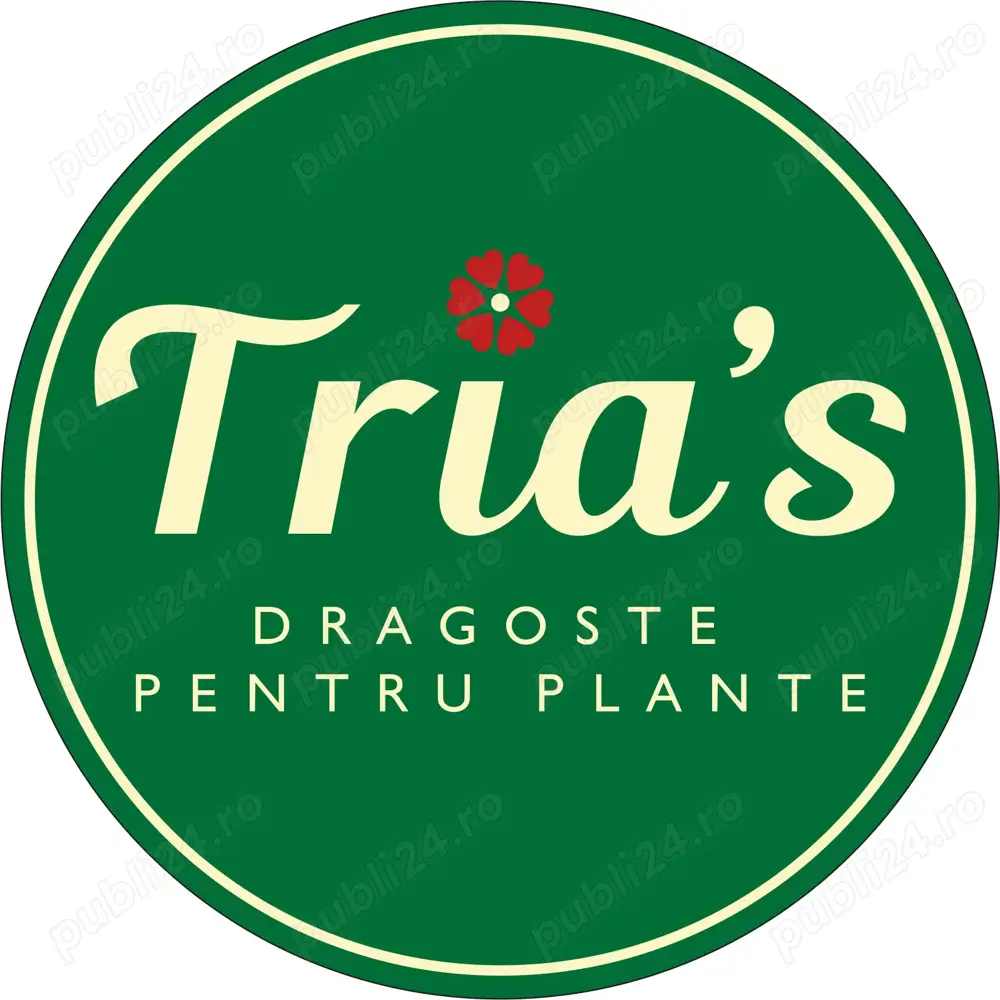 Vanzator in magazine de plante si flori - Floraria Trias
