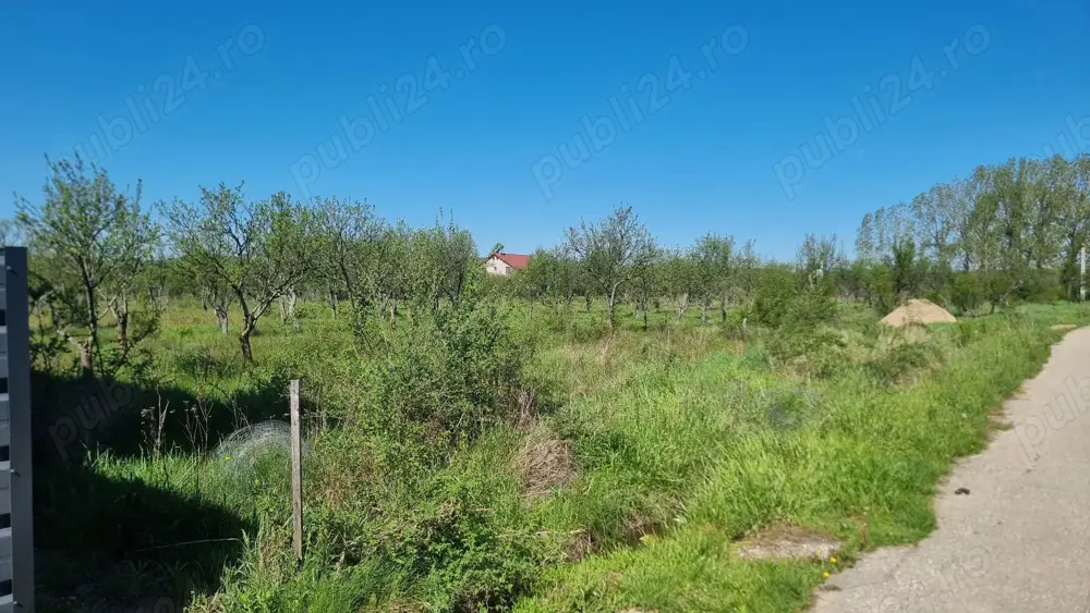 Vand loturi teren intravilan Bascov, Arges