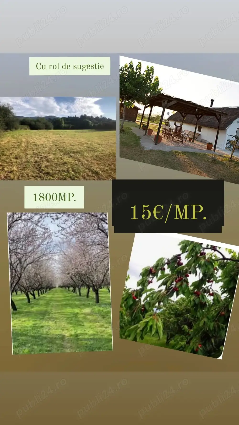 Teren de vanzare Sarichioi Tulcea Delta Dunarii 