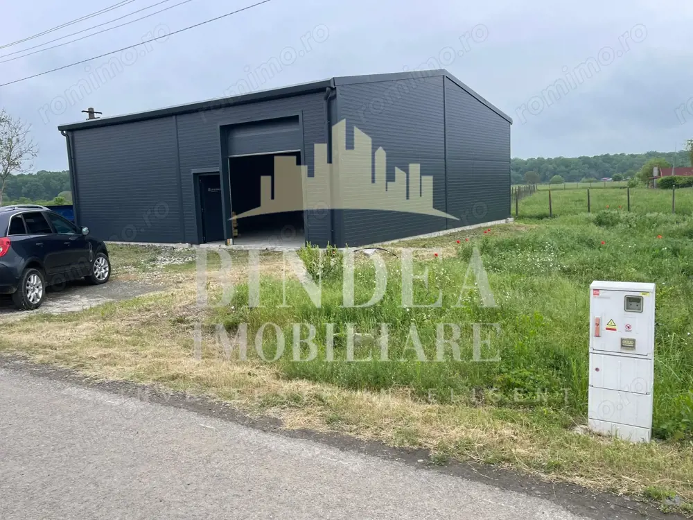 Hala in Pișchia – ideală pentru servicii, depozit sau activitate comerciala