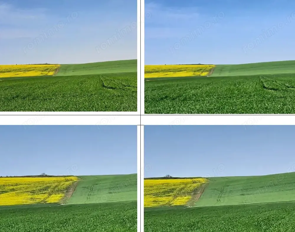 Teren extravilan, loc. Barza, jud Olt, Teren extravilan, loc. Barza, jud Olt,