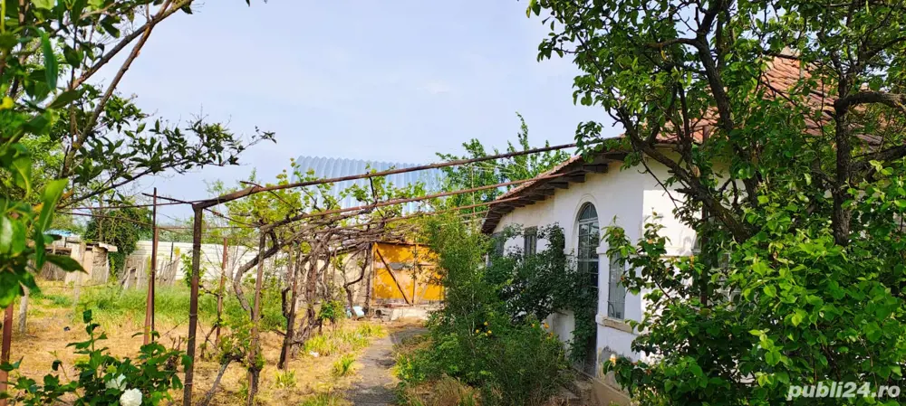 Vand teren intravilan sat Bragareasa, Jud. Buzau